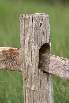 [Image: fence-post.jpg]