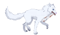 [Image: wolf_walkcycle_by_bwwd-d6mc61h.gif]