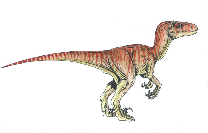 [Image: velociraptor.jpg]
