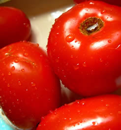 [Image: tomate.jpg]
